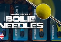 Nash Needles